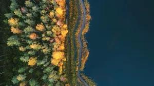 Nature's context & prioritisation