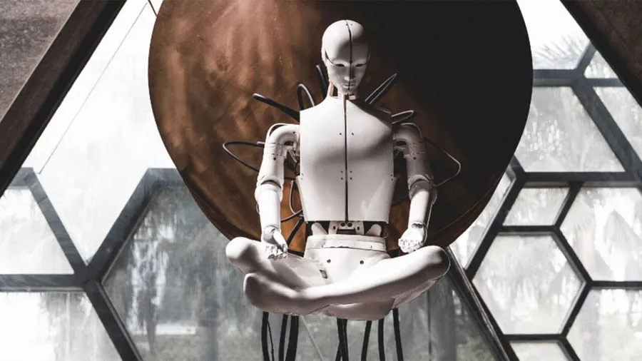 The new embodied human