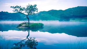 Stillness in purity