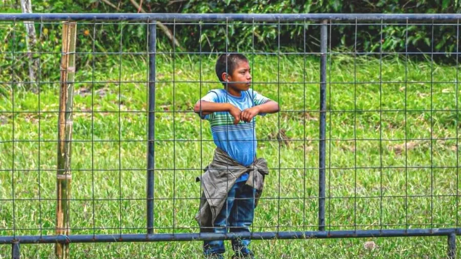 Land violation & indigenous fury